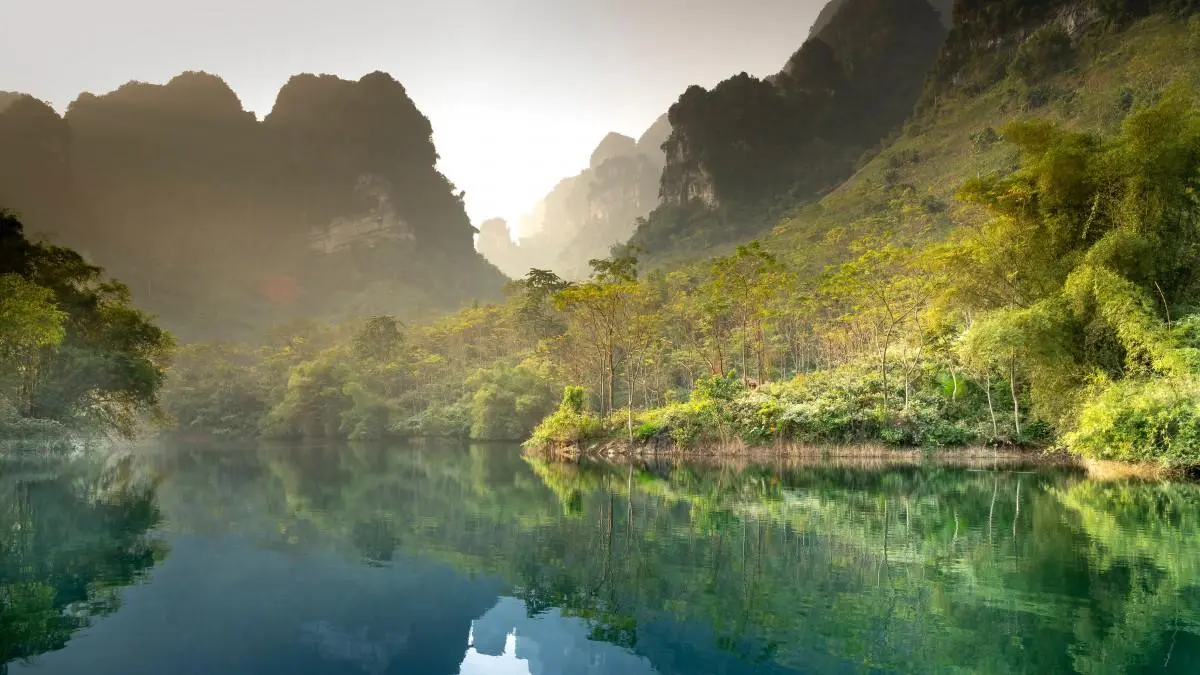 高效环保先进